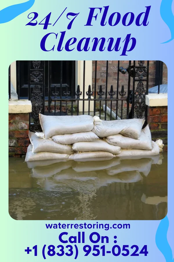 24/7 Flood Cleanup in Ruma, IL